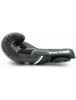 Boxerské rukavice TOP TEN RTT-4Select