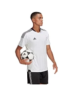 Pánská tréninková obuv Tiro 21 M GM7590 - Adidas