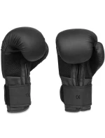 Boxerské rukavice 10oz - Black Master - Valor Series