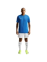 Nike Dri-Fit Park VIII pánské tričko modré HV8173 463 pánské