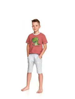 Dětské pyžamo Taro Alan 2215