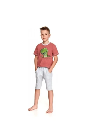 Dětské pyžamo Taro Alan 2215 Dětské pyžamo Taro Alan 2215