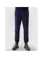 Kalhoty 4F M 4FWSS24TTROM646-31S