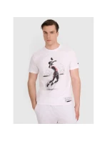 Pánské volejbalové tričko s potiskem 4F 4FRAW25TTSHM3318-10S