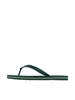 Pánské žabky O'Neill Profile Logo green 90261044 03T