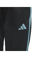 Kalhoty adidas Tiro 23 Club Training Jr IC1588