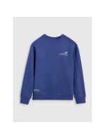 Chlapecká mikina bez kapuce 4F 4FJRAW25TSWSM2413-31S