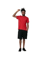 Pánské tričko M H4Z22 TSM352 62S - 4F