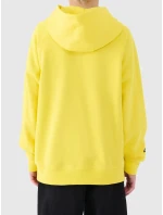 Chlapecká mikina 4F Chlapecká mikina 4F