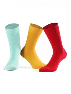 Pánské ponožky Wola Perfect Man W 94.N03