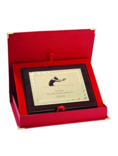 Plastový diplom s vyrytou kovovou destičkou + pouzdro