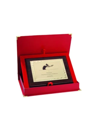 Plastový diplom s vyrytou kovovou destičkou + pouzdro Plastový diplom s vyrytou kovovou destičkou + pouzdro