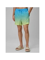 Pánské plážové boardshortky 4F 4FWSS26UBDSM168-33S