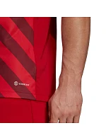 Pánský dres Entrada 22 Graphic Jersey M HB0572 - Adidas