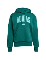 Adidas Collegiate Hoodie M KC3873