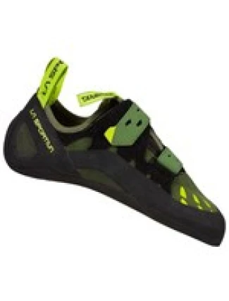 Tarantule olivová neonová Tarantule olivová neonová