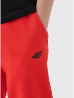 Chlapecké tepláky 4F