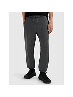 Pánské tepláky typu jogger 4F 4FRMM00TTROM1625-23M