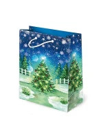 Tlapka T-4L Sada S-46 Vánoční noční taška