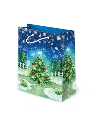 Tlapka T-4L Sada S-46 Vánoční noční taška