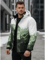 Pánská zimní lyžařská bunda zelená FashionStreet TX5126