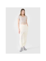 Dámské hladké tričko 4F 4FRSS25TTSHF2695-83S