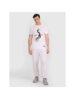 Pánské volejbalové tričko s potiskem 4F 4FRAW25TTSHM3318-10S