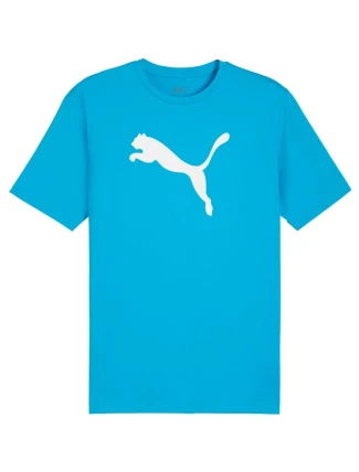 Puma Team Rise Logo Jersey Cotton M 658705 02 pánské