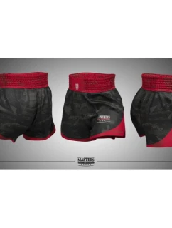 Tréninkové šortky MASTERS kick light