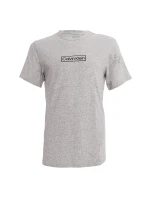 Pánské tričko s krátkým rukávem NM2268E-P7A - Calvin Klein Pánské tričko s krátkým rukávem NM2268E-P7A - Calvin Klein