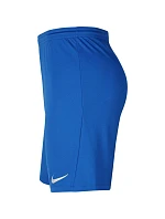 Pánská obuv Dry Park III NB M BV6855 463 - Nike