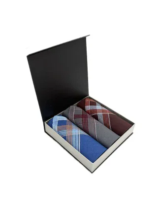 EGA CH-630 Pánský kapesník A'3