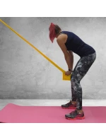 FITNESS GUMA PROFIT LONG LIGHT 200x15x0,35cm žlutá DK 2227