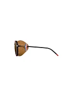 Brýle JULBO LEGACY REACTIV 2-4 POLAR Brýle JULBO LEGACY REACTIV 2-4 POLAR