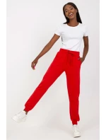 Teplákové kalhoty model 169723 BFG