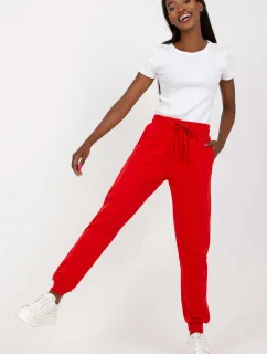 Teplákové kalhoty model 169723 BFG