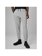 Pánské tepláky typu jogger 4F 4FRMM00TTROM2020-27M