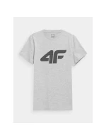 Pánské tričko s potiskem 4F 4FWMM00TTSHM1844-27M pánské