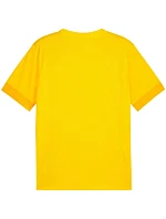 Puma teamGoal Matchday Jersey M 705747 07 pánské