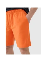 Pánské rychleschnoucí tréninkové šortky 4F 4FWSS25TFSHM0911-70S