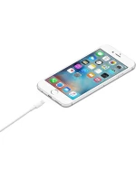Kabel Apple Lightning na USB (1 m)