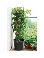 KVĚTINÁČ NA SÁZENÍ RAJČAT S ŽEBŘÍKEM O OBJEMU 12 L