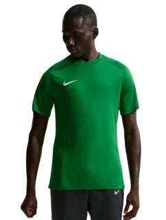 NIke Dri-Fit Park VIII pánské tričko zelené HV8173 302 pánské