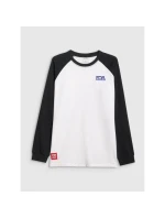 Pánské tričko oversize s dlouhým rukávem 4F 4FRAW25TLONM633-10S