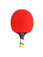 Pálka na stolní tenis Cornilleau Perform 600