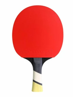 Pálka na stolní tenis Cornilleau Perform 600