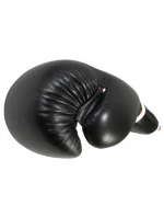 Boxerské rukavice MASTERS RBT-A (ZMĚNA CENY)