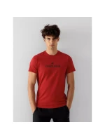 Tričko 4F M 4FSS23TTSHM539-62S pánské Tričko 4F M 4FSS23TTSHM539-62S pánské