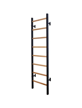 DŘEVĚNÝ KOVOVÝ GYMNASTICKÝ ŽEBŘÍK SE 4 DRŽADLY BENCHK 200B