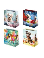 Bag Paw T-8L Set 149 Pies A'10